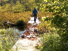 Dan Dorrough; IAT; Langlade County Arboretum, WI